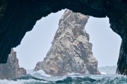 pacific sea paracas rock sea lions