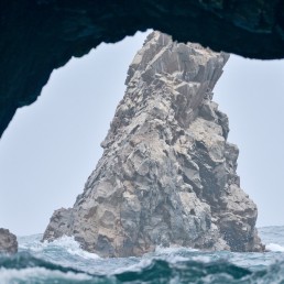 pacific sea paracas rock sea lions